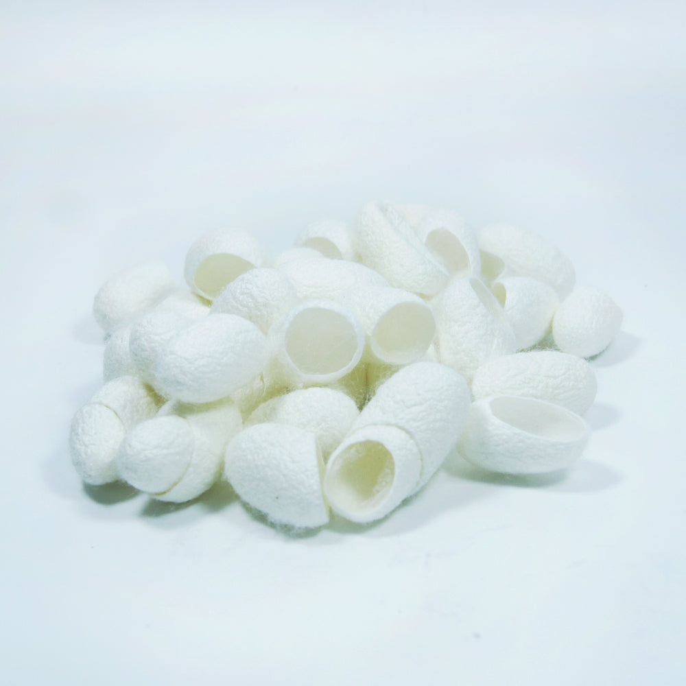 Natural Cocoon Face Care Brush